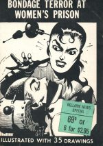 View more cover artworks <a href="https://vintagefetishbookcovers.wordpress.com/category/artists/gene-bilbrew/">from this artist</a>