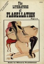 <a href="https://vintagefetishbookcovers.wordpress.com/2022/03/17/the-literature-of-flagellation/">Literature of Flagellation</a>
